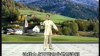 Tai Chi Yang Style 40 Forms With Paul Lam