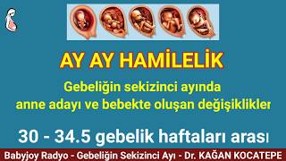 GEBELİKTE 8. AY (~ 30-34. HAFTALAR). ANNE ADAYI NELER YAŞAR VE HİSSEDER? BEBEKTE NE GELİŞMELER OLUR?