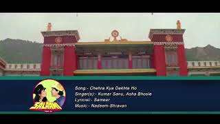 chehra kya dekhte ho |kumar sanu,asha bhosle|salaami1994 song|ayub khan