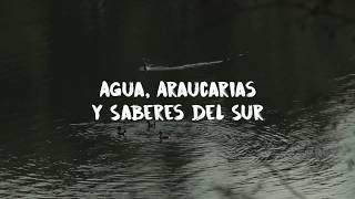 Anfitriones y Panoramas en Curarrehue | Fundación Sendero de Chile