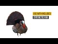 Higdon Outdoors TruStrutter XS Motion Turkey