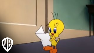 Looney Tunes Super Stars' Tweety & Sylvester: Feline Fwenzy | Admirer | Warner B