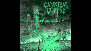 Watch Cannibal Corpse Icepick Lobotomy video