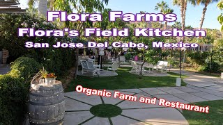 Flora Farms And Floras Field Kitchen - Organic Farm And Restaurant - San Jose Del Cabo, Mexico