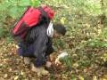 Tags: Bear, grylls, fake,