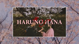4K Kite, Vanillobey, Glo-Zy - Haruno Hana 春の花 Official Music Video