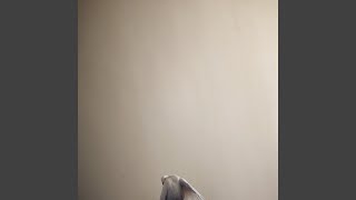 В Шуме Городских Аккордов