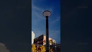 Lm Perfo Light Pole Lightman Decorative Lights