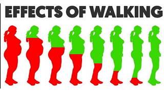How fast do you lose weight on ideal protein image 4