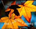 Sweet love - Forever Love ecards - Love Greeting Cards Sweet love - Forever Love ecards - Love Greeting Cards