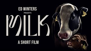 Milk A Short Film From A Mothers Perspective Webby Winner 2023