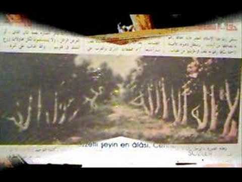 miracles of allah. Short Video Showing pictures Of Some Of the Miracles of Allah SWT.