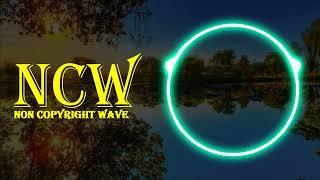 Elektronomia - Sky High Ncw Non Copyright Wave