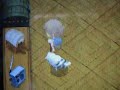 牧場物語 ふたごの村 ほーほーゴメンネ
