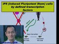 reprogrammed stem cells