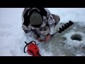 Starline i95 установка своими руками 42