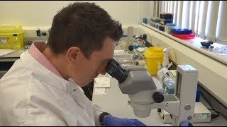 Worms In Space - Dr Christopher Gaffney