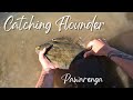 Floundering in Pawarenga