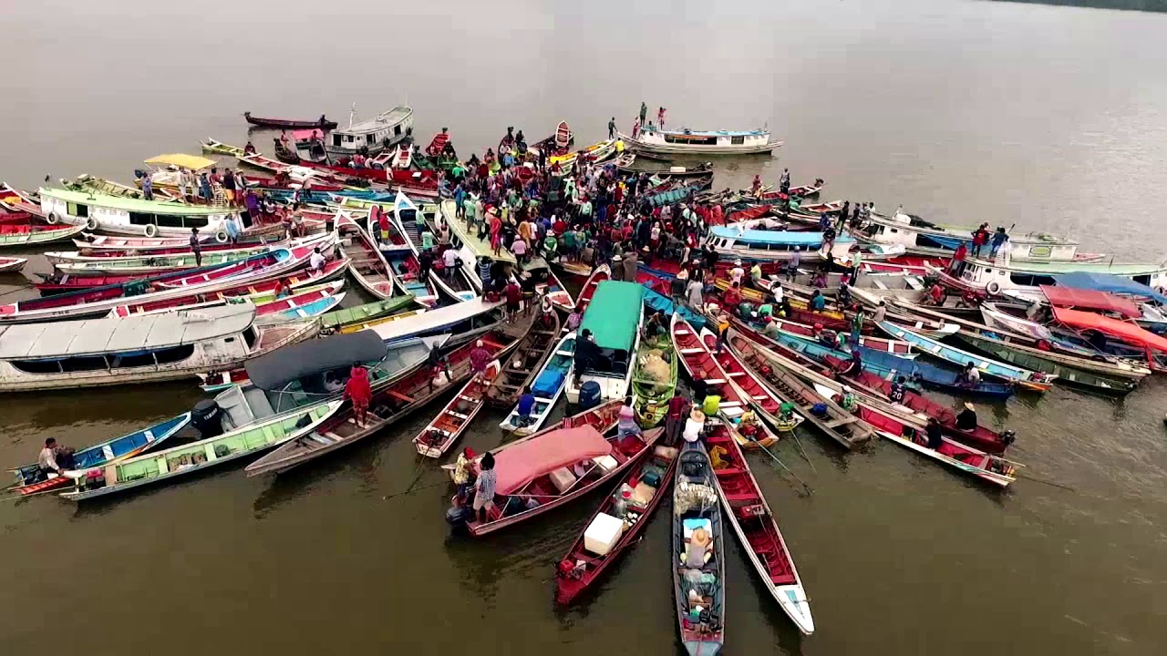 Pesca do mapará