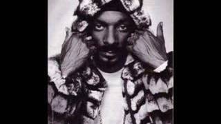 Watch Snoop Dogg The Bidness video