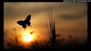Watch Lenny Kravitz Butterfly video