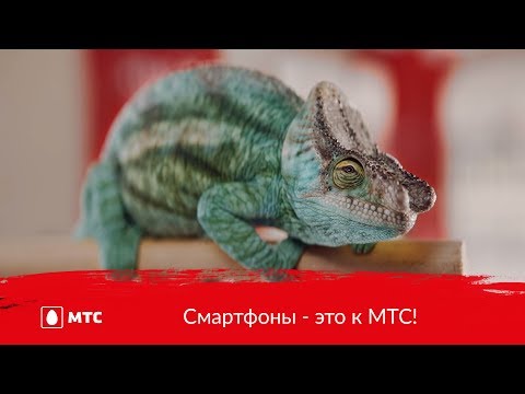 МТС | Смартфоны - это к МТС! МТС | Смартфоны - это к МТС!