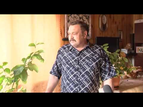 Как в домашних условиях выращивать кумкват Как в домашних условиях выращивать кумкват