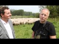 Schapen hoeden in 2012 (HD)