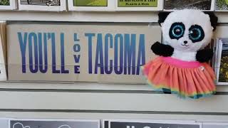 The goods at the museum!