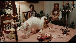 Baby Funny Cats - Cute And Funny Cat Videos Compilatiopn