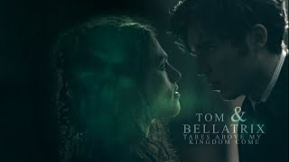 Tom & Bellatrix | Tares above my kingdom come