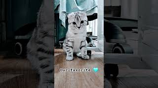 Our Favorite
