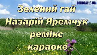 Зелений Гай (Мінус Dance Remix, Караоке) Назарій Яремчук