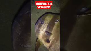 Mive Bat Fish With Red Grouper