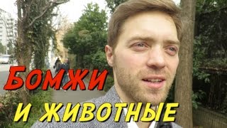 Живая панда. Романтика бездомных. Японский зоопарк Уэно