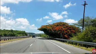 From Yauco To Ponce-Weeds Free Highway-Pr-2E-Sept2025