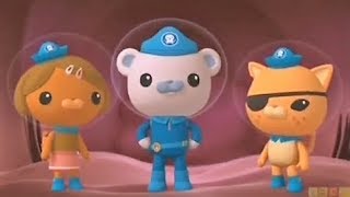 Whale Shark Noms To S01E01