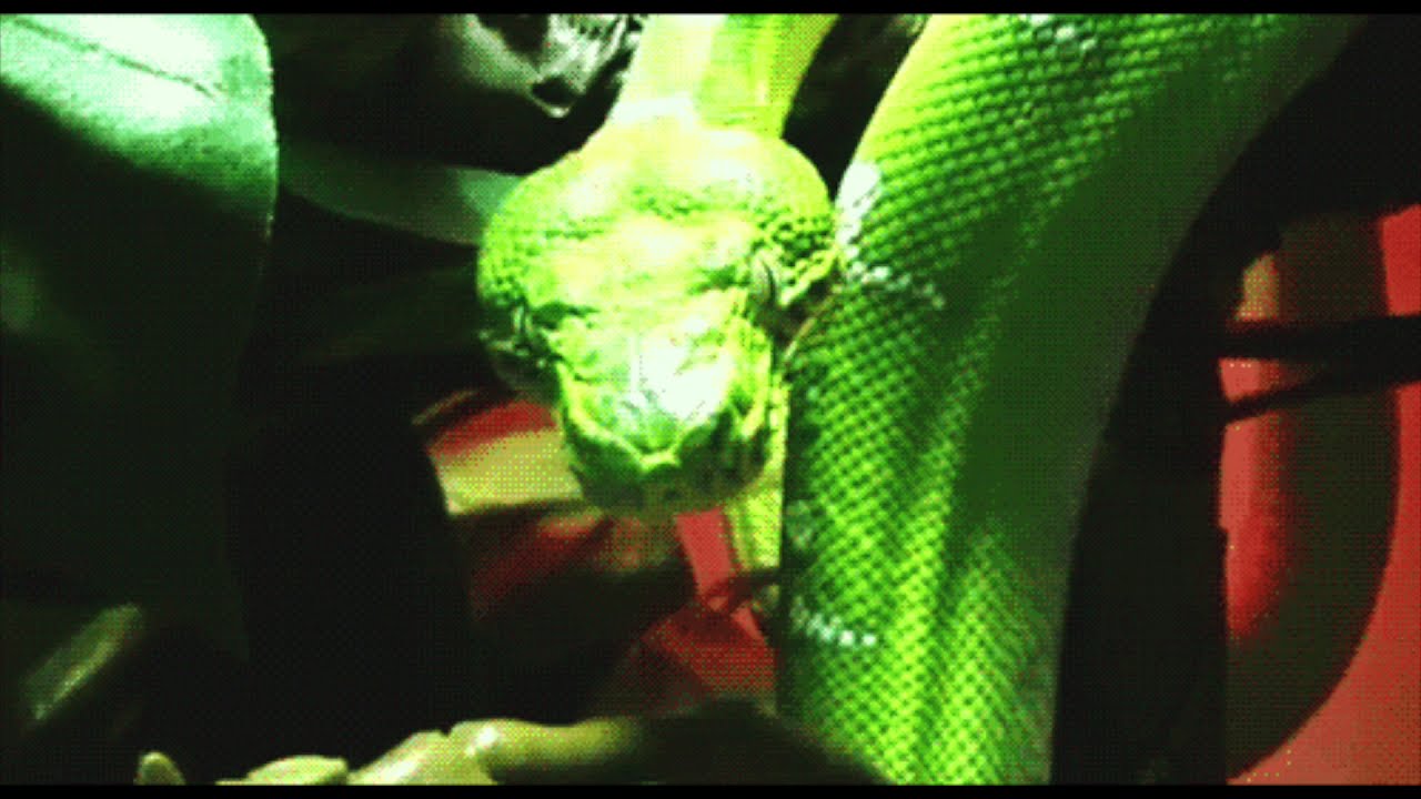 Порно Мужик Трахает Змею