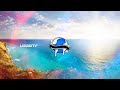 liquicity