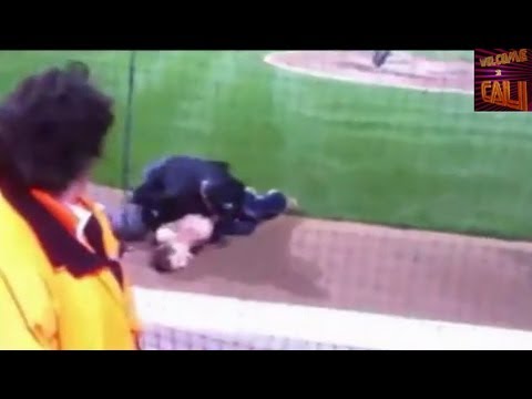 Umpire Jeff Kellogg Tackles Streaking Naked Fan Diving Into Home Plate At 