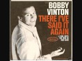 Bobby Vinton - The Girl With The Bow In Her Hair (1963)