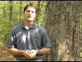 Prof. Jeffrey Coker shares history of Earth Day