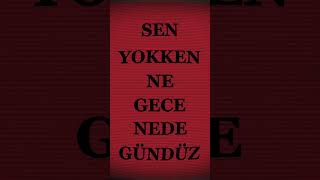 Sen Yokken Ne Gece Ne De Gündüz...