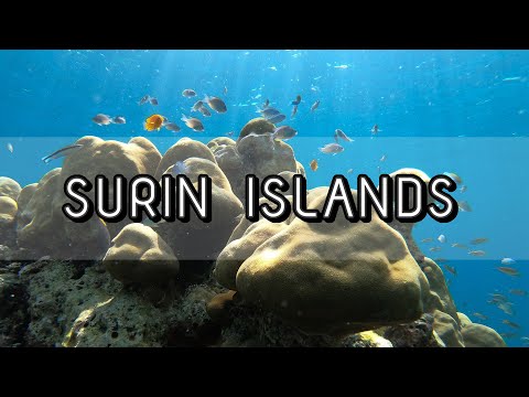 หมู่เกาะสุรินทร์ | Surin Islands 2019