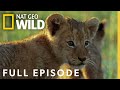 Animal Battles (Full Episode) | World's Deadliest