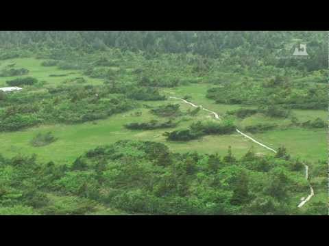 八甲田登山道 - 毛無岱 - 0557A