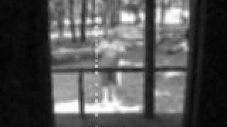 Watch Staind Four Walls video