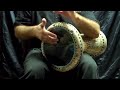 darbuka