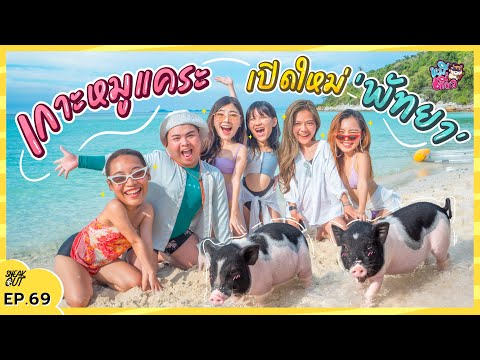 เกาะหมูแคระ เปิดใหม่ ‘พัทยา’ ไม่ต้องบินไปใต้ ก็ถ่ายรูปริมทะเลกับหมูได้! | หมีเที่ยว EP.69