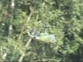 BELL 205 UH 1D 05